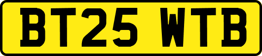 BT25WTB