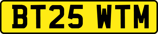 BT25WTM
