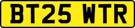 BT25WTR