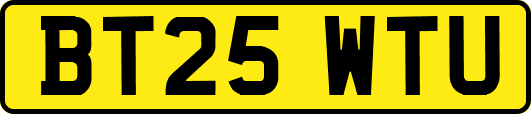 BT25WTU