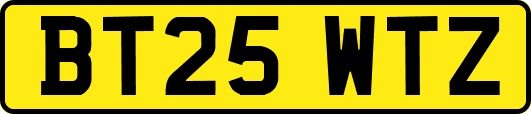BT25WTZ