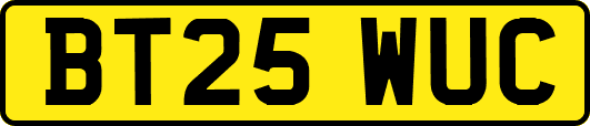 BT25WUC