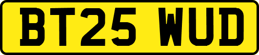 BT25WUD