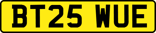 BT25WUE