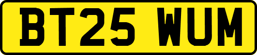 BT25WUM