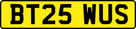 BT25WUS
