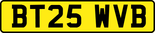 BT25WVB