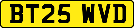 BT25WVD