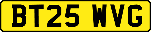 BT25WVG