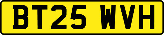 BT25WVH