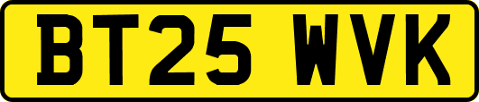 BT25WVK