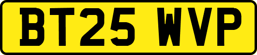 BT25WVP