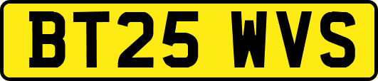 BT25WVS