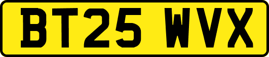 BT25WVX