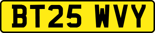 BT25WVY