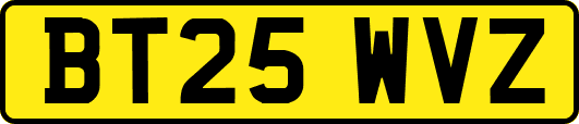 BT25WVZ