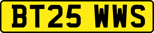 BT25WWS