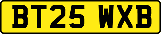 BT25WXB