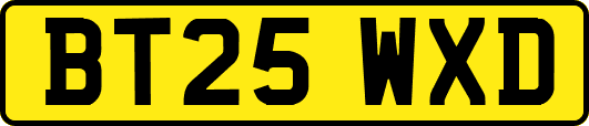 BT25WXD