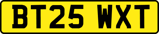 BT25WXT