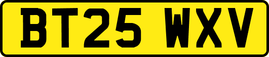 BT25WXV