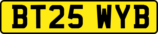 BT25WYB
