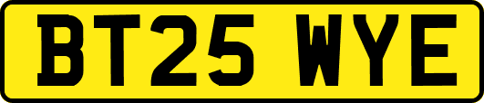 BT25WYE