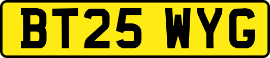 BT25WYG