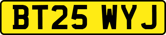 BT25WYJ