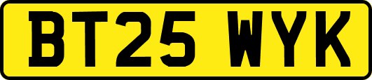 BT25WYK