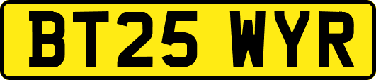 BT25WYR