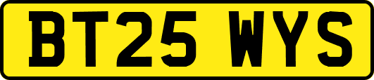 BT25WYS