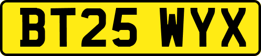 BT25WYX
