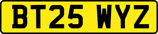 BT25WYZ