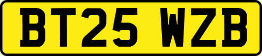BT25WZB
