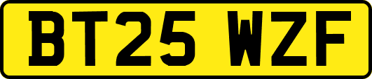 BT25WZF
