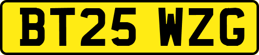 BT25WZG
