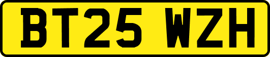 BT25WZH