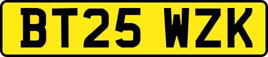 BT25WZK
