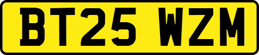 BT25WZM