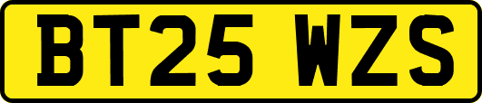 BT25WZS