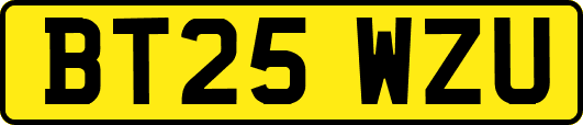 BT25WZU