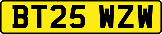 BT25WZW