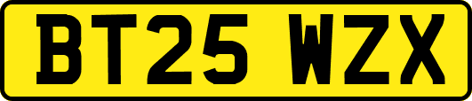 BT25WZX