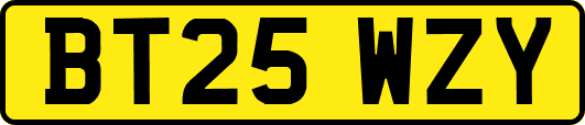 BT25WZY