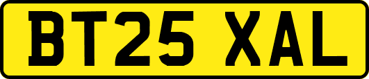 BT25XAL