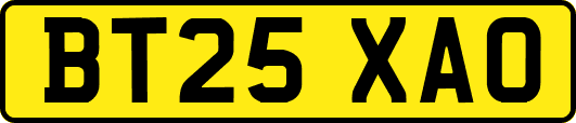 BT25XAO