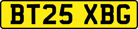 BT25XBG