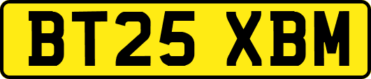 BT25XBM