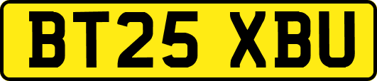 BT25XBU